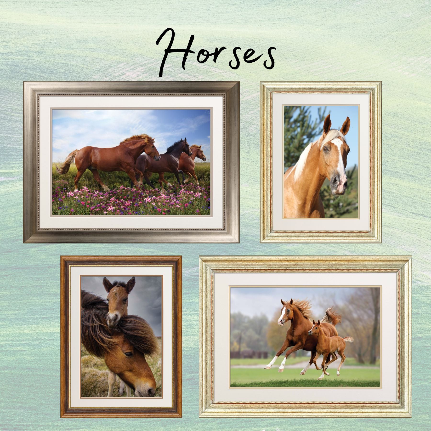 BeMoved Horse posters.  Moveable and removable!