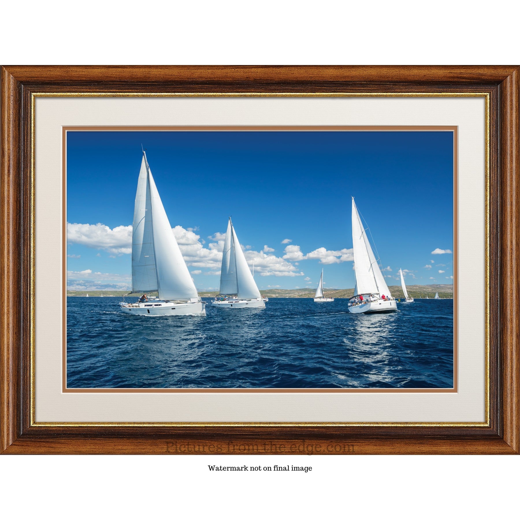 BeMoved by Sailing Races Poster. Movable and Removable!