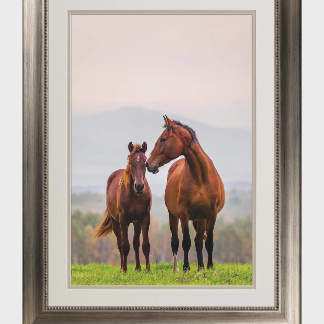 BeMoved by Adorable Mother and Foal Poster. Movable and removable!