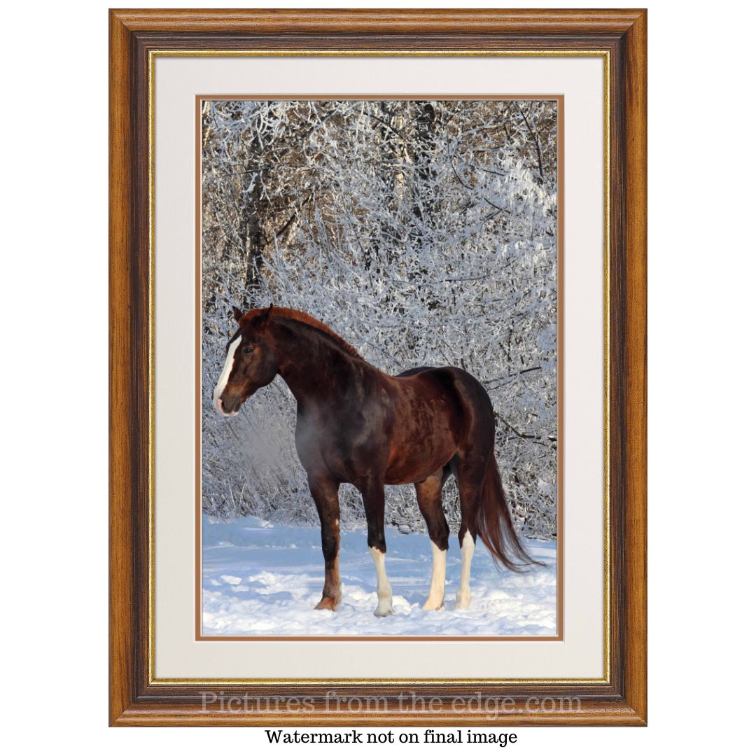 BeMoved by Horse in winter poster.  Movable and removable!