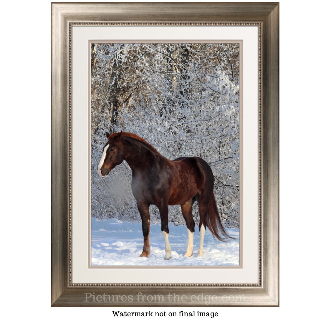 BeMoved by Horse in winter poster.  Movable and removable!