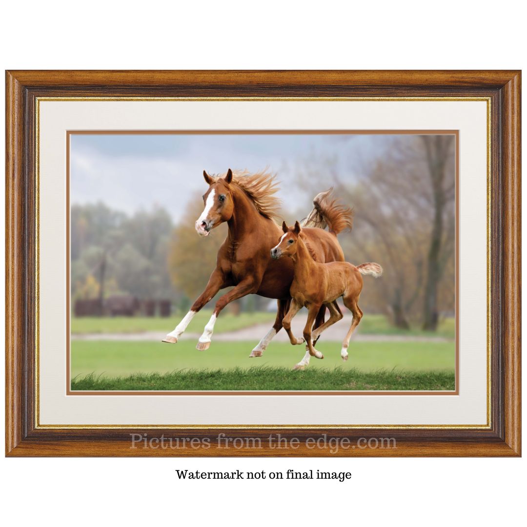 BeMoved by Mother and Child Galloping poster. Movable and removable!