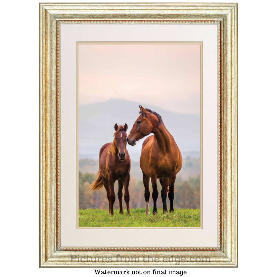 BeMoved by Mother and Foal Poster. Movable and removable!