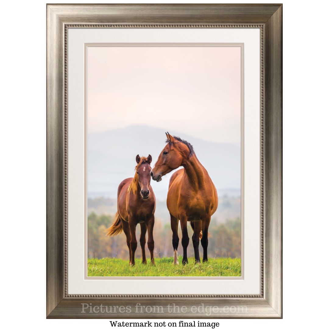 BeMoved by Mother and Foal Poster. Movable and removable!
