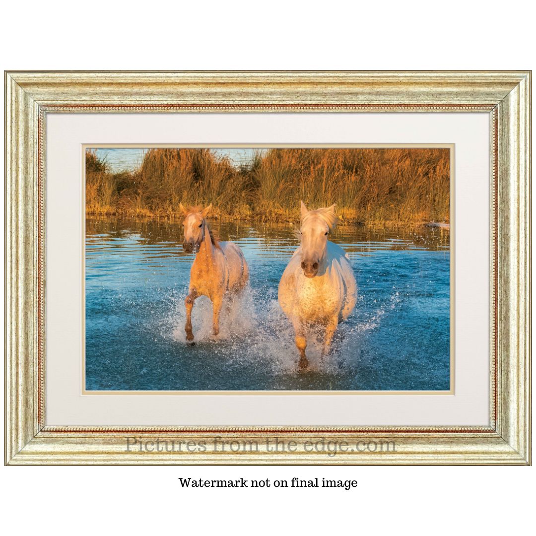 BeMoved by Two Horses in water poster. Movable and removable!
