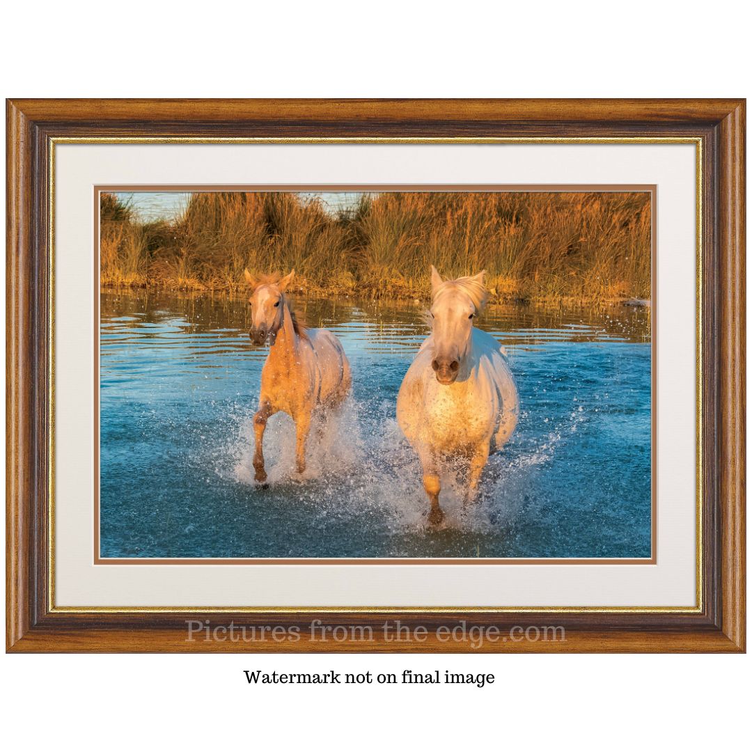 BeMoved by Two Horses in water poster. Movable and removable!