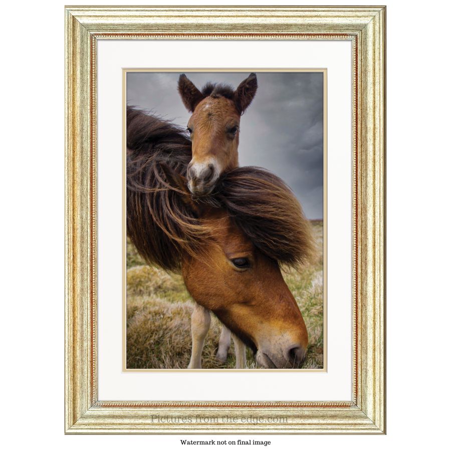 BeMoved Mother and foal poster - Movable and removable!