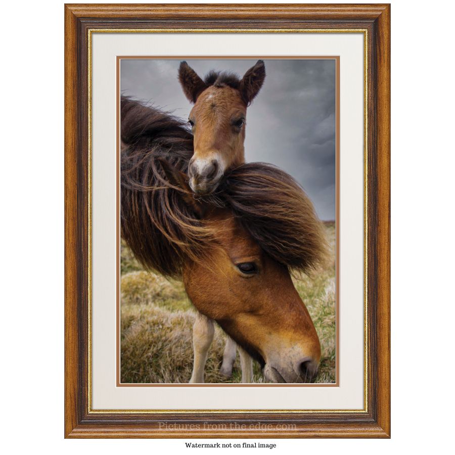 BeMoved Mother and foal poster - Movable and removable!