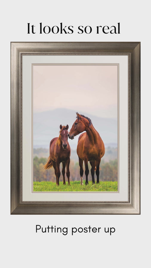 BeMoved by Adorable Mother and Foal Poster. Movable and removable!